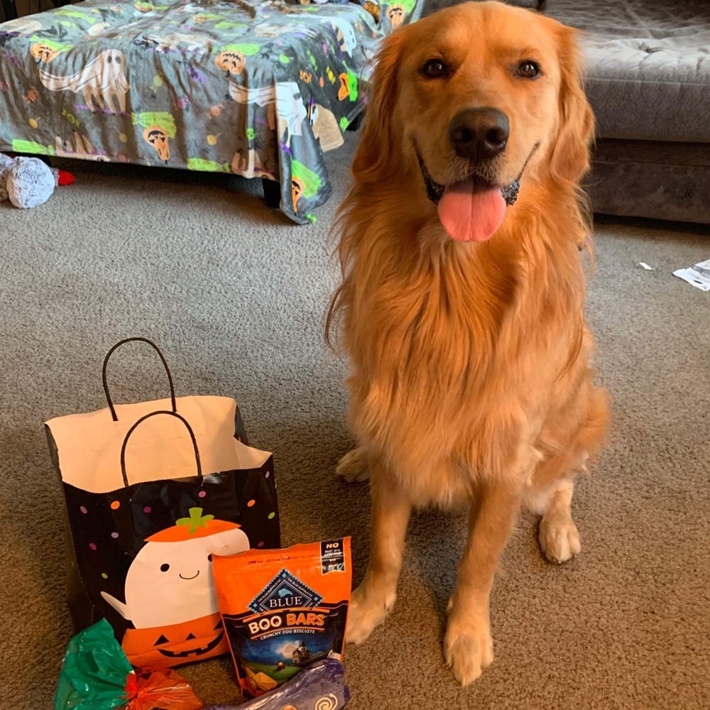 Meet your Posher, Ericka